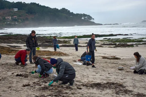 Nigran, İspanya; Ocak 09.2024; Çok sayıda gönüllü, huni, süzgeç, eldiven gibi temel araçlar kullanarak bir tekneye düşen plastik topakları toplamak için Galiçya plajlarına gitti.