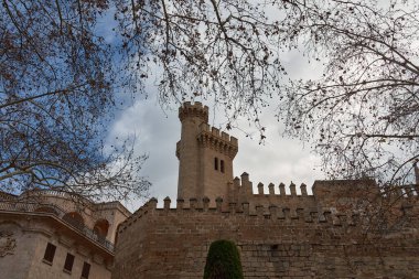 Ön planda ağaç dalları bulunan Torre dels Caps (İspanyolca Başlıklar Kulesi), Almudaina muhafazasının kuzey ucunda yer almaktadır ve İspanya 'nın Balearic Adaları, Palma de Mallorca kentinde 20. yüzyılın başlarına dayanmaktadır.