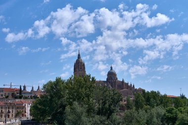 Salamanca Katedrali, İspanya 'nın Castilla y Leon kentinde yer alan geç dönem Gotik ve Barok tarzı bir katedraldir.