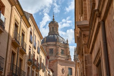 Salamanca Katedrali, İspanya 'nın Castilla y Len kentinde yer alan geç dönem Gotik ve Barok tarzı bir katedraldir.