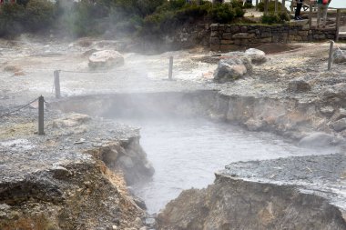 Kaynayan sular Portekiz 'deki San Miguel Adası' ndaki Las Furnas 'a buhar salıyor.