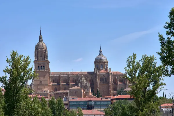 stock image Salamanca Cathedral is a late Gothic and Baroque style cathedral in the city of Salamanca, Castilla y Leon, Spain