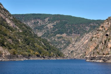 Kanyonları arasında Sil Nehri boyunca yelken açıp İspanya, Lugo 'daki kahramanca hasadı gözlemlediler.