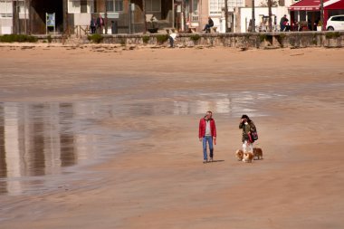Bir çift köpeğiyle Nigran, Pontevedra, İspanya 'da Playa America boyunca yürür.