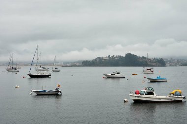 Vigo 'da yürüyüş yapan bitkiler