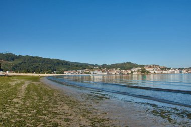 Güneşli bir günde Baiona, Pontevedra, İspanya 'da La Ladeira Sahili' nden deniz yosunu manzarası