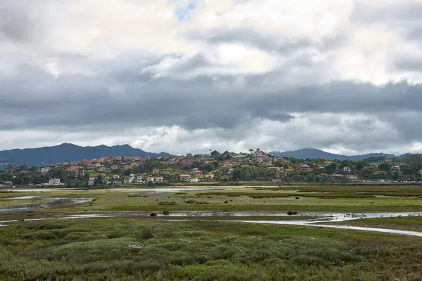 stock image View of the vegetation and houses at the mouth of the minor river in Ramallosa at low tide in A Foz Ramallosa Galicia Spain