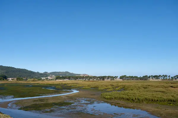 stock image The mouth of the Minor River in La Ramallosa forms an estuary at low tide where you can see Mount Lourid and the Baiona campsite.