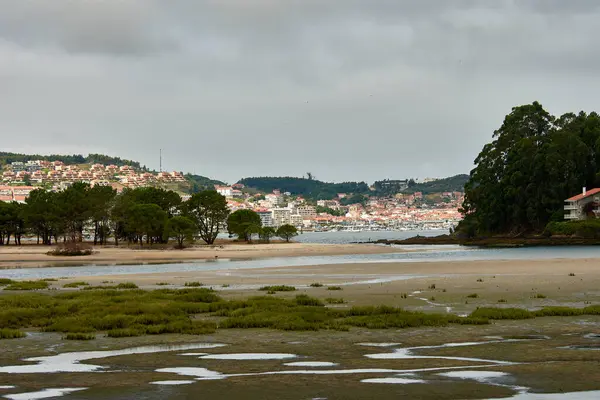 Resim, tarihi mimari, yemyeşil yemyeşil ve sakin sular da dahil olmak üzere büyüleyici kıyı manzarasını yakalıyor. Geniş görüş bu Galiçya bölgesinin doğal güzelliğini ve kültürel zenginliğini gözler önüne seriyor ve onu ideal bir temsilci yapıyor.