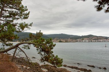 İspanya 'nın Pontevedra kentindeki Bayona' da Montelourido 'dan görüldüğü gibi büyüleyici bir sahil köyü. Fotoğrafta, yeşil bir yamaçta kurulmuş modern daireler ve geleneksel evlerin eşsiz bir karışımı yer alıyor.