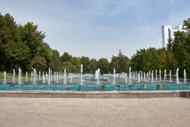 Özbekistan 'ın Taşkent kentindeki Independence Meydanı' ndaki çarpıcı çeşme, kentin gurur ve güzelliğinin bir simgesi olarak duruyor. Yeşillik ve önemli ulusal anıtlarla çevrili çeşme, meydanın ihtişamını artırıyor., 