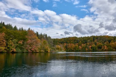 Hırvatistan 'ın Plitvice Lakes Ulusal Parkı' ndaki sonbahar sahnesi sonbaharda doğanın nefes kesici dönüşümünü gözler önüne seriyor. Sakin, kristal gibi berrak göller etrafındaki ormanın altın, turuncu ve kırmızı renklerini yansıtıyor.
