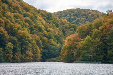 Hırvatistan 'ın Plitvice Lakes Ulusal Parkı' ndaki sonbahar sahnesi sonbaharda doğanın nefes kesici dönüşümünü gözler önüne seriyor. Sakin, kristal gibi berrak göller etrafındaki ormanın altın, turuncu ve kırmızı renklerini yansıtıyor.