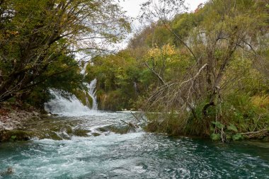 Hırvatistan 'ın Plitvice Lakes Ulusal Parkı' nda sonbaharda meydana gelen küçük şelaleler. Suyun yumuşak akışı kayaların üzerinde hafifçe çağlar, sonbahar yapraklarının canlı renkleriyle çevrilidir. Altın, turuncu ve kırmızı yapraklar kristalle güzel bir kontrast oluşturuyor.