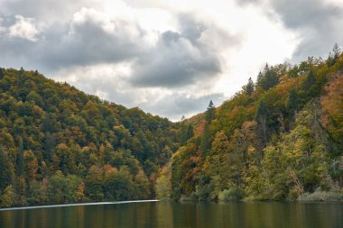 Hırvatistan 'ın Plitvice Lakes Ulusal Parkı' ndaki sonbahar sahnesi sonbaharda doğanın nefes kesici dönüşümünü gözler önüne seriyor. Sakin, kristal kadar berrak göller çevredeki ormanın altın, turuncu ve kırmızı tonlarını yansıtıyor.
