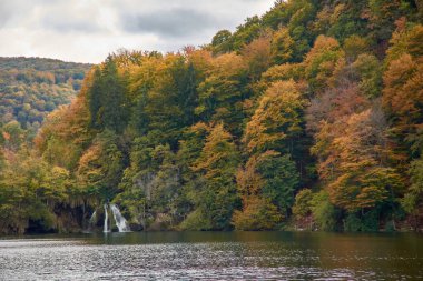 Hırvatistan 'ın Plitvice Lakes Ulusal Parkı' nda sonbaharda meydana gelen küçük şelaleler. Suyun yumuşak akışı kayaların üzerinde hafifçe çağlar, sonbahar yapraklarının canlı renkleriyle çevrilidir. Altın, turuncu ve kırmızı yapraklar kristalle güzel bir kontrast oluşturuyor.