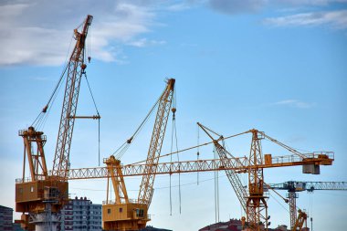 Vigo, İspanya 'nın tersanelerindeki sarı sanayi turnaları rıhtımların üzerinde yükseliyor. Denizcilik endüstrisinin ve liman faaliyetlerinin canlı bir sembolü.