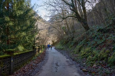 İspanya 'nın Asturias kentindeki Redes Doğal Parkı' nda kış boyunca sakin bir yürüyüş. Dar asfalt yol, çıplak ağaçlar ve yosun kaplı kayalarla dolu bir ormanda sakin bir atmosfer yaratıyor. Yanında akan küçük bir nehir, doğal güzelliği de beraberinde getiriyor..
