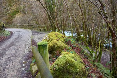 İspanya 'nın Asturias kentindeki Redes Doğal Parkı' nda kırsal ahşap çitler ve yosun kaplı kayaların bulunduğu büyüleyici bir doğa gezisi. Yeşillik ve yıpranmış ahşap, doğa aşıkları ve doğa yürüyüşçüleri için mükemmel sakin ve güzel bir manzara yaratır..