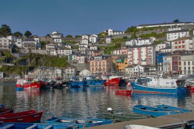 Luarca, Asturias, İspanya; 29 Mart 2025: İspanya 'nın Asturias kentindeki Luarca limanı, güneşli bir günde hem eğlence hem de balıkçı tekneleriyle dolu. Açık mavi sular renkli damarları yansıtıyor ve canlı bir manzara yaratıyor. Resim Vurgulaması