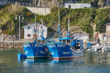 Luarca, Asturias, İspanya; 29 Mart 2025: İspanya 'nın Asturias kentindeki Luarca limanı, güneşli bir günde hem eğlence hem de balıkçı tekneleriyle dolu. Açık mavi sular renkli damarları yansıtıyor ve canlı bir manzara yaratıyor. Resim Vurgulaması