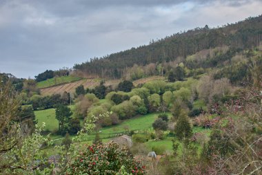 Yoğun ağaç örtüsü, yuvarlanan tepeler ve dağınık kırsal evlerin yer aldığı sakin yeşil dağ manzarası. Canlı yeşilliklerle dolu taze bahar atmosferi bulutlu bir gökyüzü tarafından çerçevelenir.. 