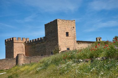 Segovia 'daki Pedraza Ortaçağ Şatosu açık mavi gökyüzünün altında kırmızı gelincikler ve beyaz papatyalarla dolu eğimli bir yamacın üzerinde duruyor..  