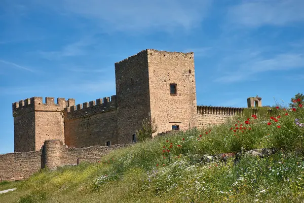 Segovia 'daki Pedraza Ortaçağ Şatosu açık mavi gökyüzünün altında kırmızı gelincikler ve beyaz papatyalarla dolu eğimli bir yamacın üzerinde duruyor..  