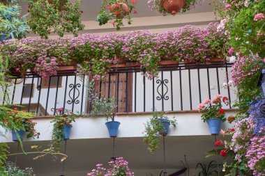 Sardunya, petunya ve bougainvilleas gibi parlak çiçeklerle dolu geleneksel Endülüs verandası, beyazlatılmış duvarlar ve merkezi bir kuyu. 