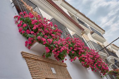 Sardunya, petunya ve bougainvilleas gibi parlak çiçeklerle dolu geleneksel Endülüs verandası, beyazlatılmış duvarlar ve merkezi bir kuyu. 