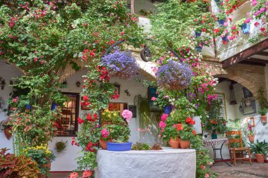 Sardunya, petunya ve bougainvilleas gibi parlak çiçeklerle dolu geleneksel Endülüs verandası, beyazlatılmış duvarlar ve merkezi bir kuyu. 