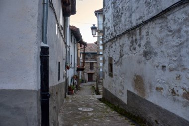 Candelario, Salamanca 'nın pitoresk köyündeki dar bir kaldırım taşı sokak, geleneksel taş evler ve beyaz boyalı duvarlarla çevrili. Çiçek saksıları, huzurlu kırsal alana renk katar.. 
