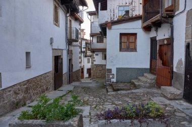 Candelario, Salamanca 'nın pitoresk köyündeki dar bir kaldırım taşı sokak, geleneksel taş evler ve beyaz boyalı duvarlarla çevrili. Çiçek saksıları, huzurlu kırsal alana renk katar.. 