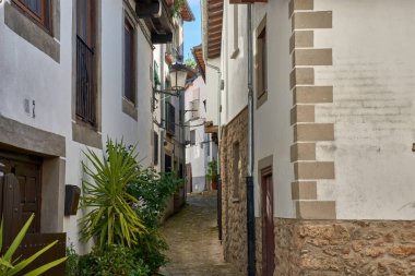 Candelario, Salamanca 'nın pitoresk köyündeki dar bir kaldırım taşı sokak, geleneksel taş evler ve beyaz boyalı duvarlarla çevrili. Çiçek saksıları, huzurlu kırsal alana renk katar.. 