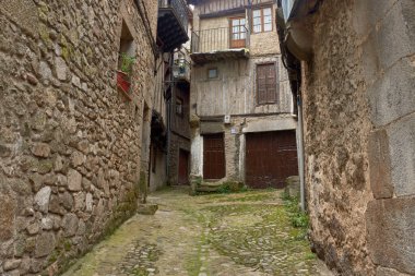 La Alberca 'da balkonları ve pencereleri saksı ve çiçeklerle süslenmiş geleneksel taş ve yarı keresteli evlerle çevrili kaldırımlı bir sokak. Kompozisyon, İspanya 'nın ilk tarihi-sanatsal mekanının kırsal cazibesini ve tarihini vurguluyor.