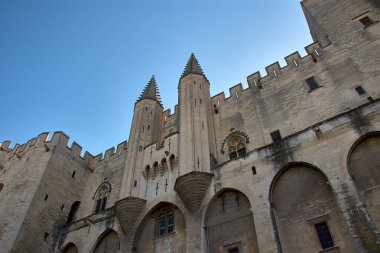 Avignon 'daki Papa' nın Sarayı açık mavi gökyüzünün altında bej ve gri tonlarla Gotik kulelerini ve taş duvarlarını vurguluyor. Kompozisyon ihtişam ve sağlamlığı, Avrupa 'nın ortaçağ bağlamında tarih ve gücü çağrıştırıyor..