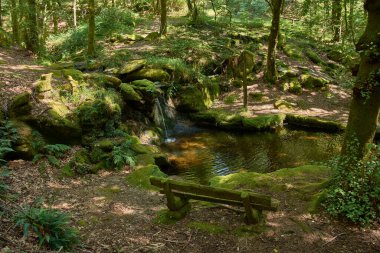 Monte Aloia Doğal Parkı 'nın göbeğinde, yoğun bitki örtüsü, yosun ve uzun ağaçlarla çevrili berrak bir havuzu olan sakin bir manzara. Kısmen yosunla kaplı, nemli, serin ve gölgeli bir ortamda tefekküre davet eder.. 