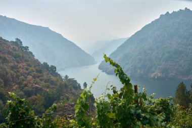 Sil Kanyonları, gizemli ve anımsatıcı bir hava sağlayan dumanlı bir atmosferle çevrili, dikey olarak nehre düşen yeşil dağların arasından görkemli bir şekilde ortaya çıkar. Kompozisyon, dinginlik, drama ve doğa ile güçlü bir bağ taşır.,