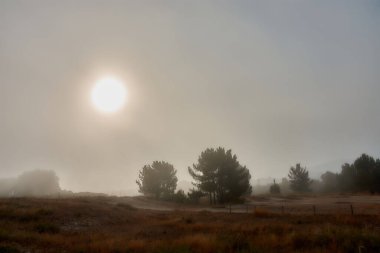 Galiçya 'daki Ladeira Sahili' nin kumullarında çekilen sakin ve gizemli bir sabah sahnesi. Yoğun sis manzarayı kaplayarak, ufku ve arka plan elementlerini bulanıklaştırır, ağaçlar ve küçük bir köy gibi.