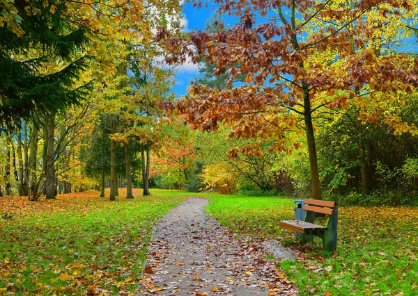 Sonbahar manzarası. Banklarla park edin..
