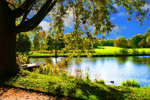 Renkli ağaçlar ve sessiz göl ile sonbahar manzarası.