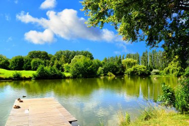 Parkta gölü olan güzel renkli yaz manzarası.