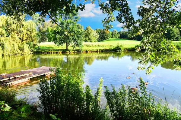 Parkta gölü olan güzel renkli yaz manzarası.
