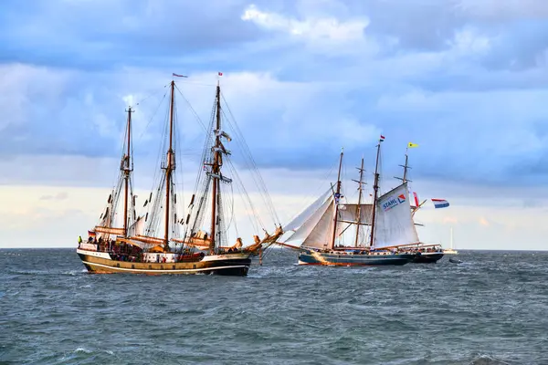 stock image Warnemnde, Germany - August 9th, 2024 - Photo shows the largest annual marine festival in Mecklenburg-Vorpommern is the Hanse Sail Rostock.