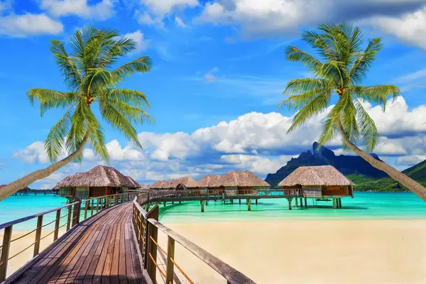 Bora Bora, Fransız Polinezyası 'nın Sosyete Adaları grubuna ait bir mercan adasıdır. Bora Bora en seçkin ve lüks tatil beldelerinden biri olarak kabul edilir..