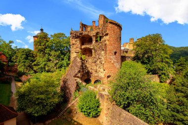 Heidelberg Şatosu 1693 'te Fransız askerleri tarafından havaya uçuruldu..