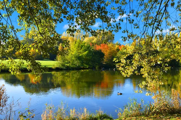 Parkta güzel bir gölü olan sonbahar manzarası.