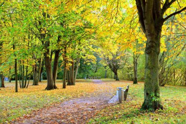 Sonbahar manzarası. Banklarla park edin..
