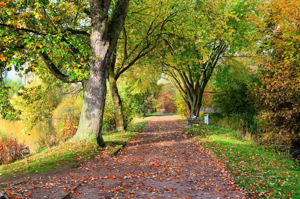 Sonbahar manzarası. Banklarla park edin..