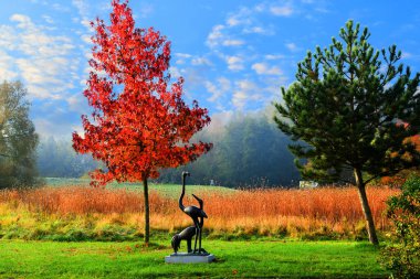  Flamingo ve Crane Heykel Grubu ile sonbahar manzarası.